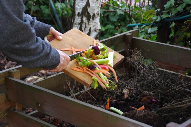Quels aliments ne faut-il surtout pas mettre dans son compost ?