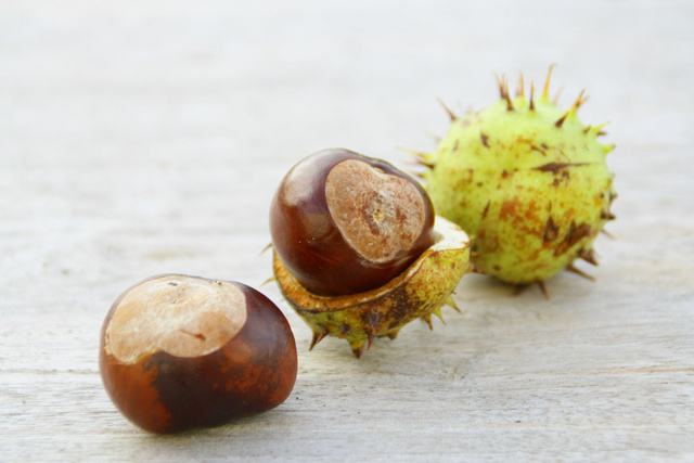 Vous avez juste à vous baisser en ce moment pour le ramasser et c’est un anti-mites parfait !