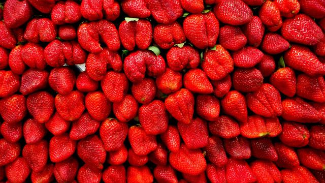 Peut-on vraiment congeler des fraises sans les abîmer ?