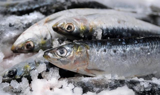 Rappel produit : ne consommez pas ces sardines, la date de péremption n’est pas la bonne !