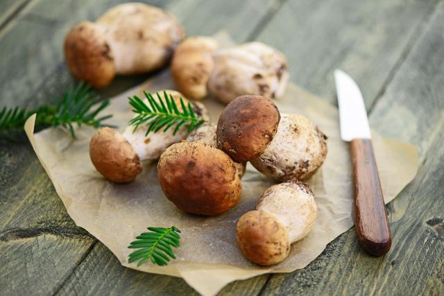 Comment préparer, nettoyer, faire cuire et cuisiner les cèpes ?