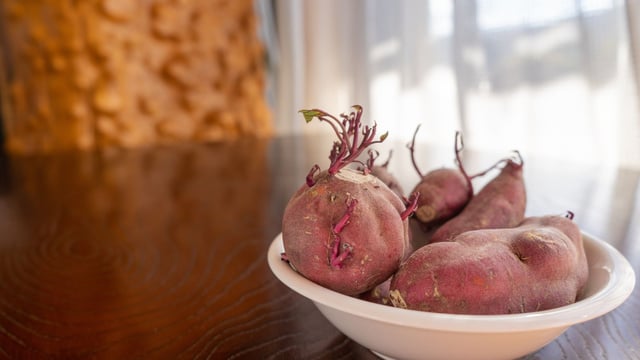 Peut-on manger une patate douce qui a germé ?