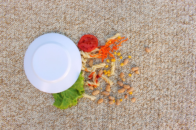 Les moquettes sont moins à risque que du carrelage, en ce qui concerne la contamination des aliments tombés. Adobestock