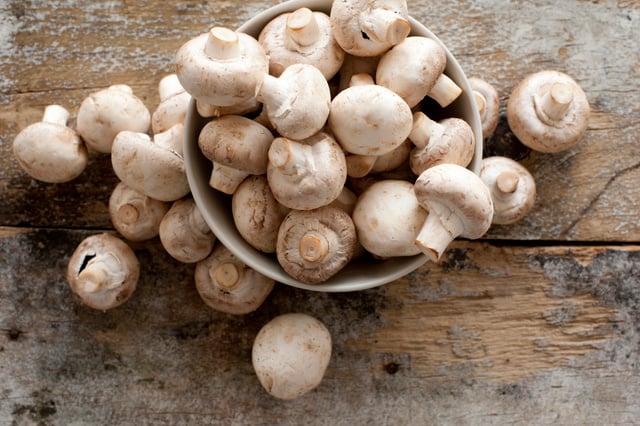 Podcast : Les champignons de Paris