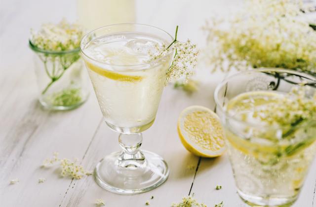 Spritz à la fleur de sureau. Adobestock