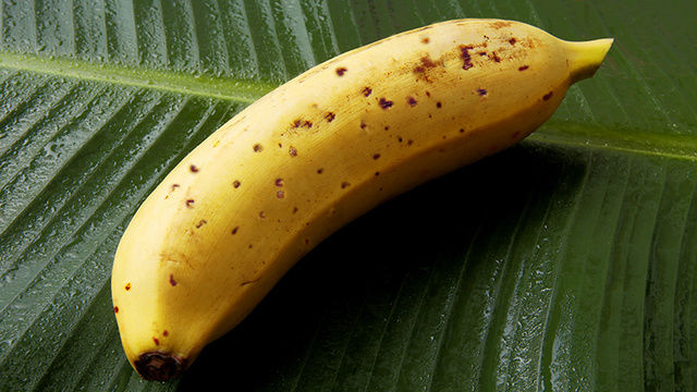 Cette banane se mange avec la peau