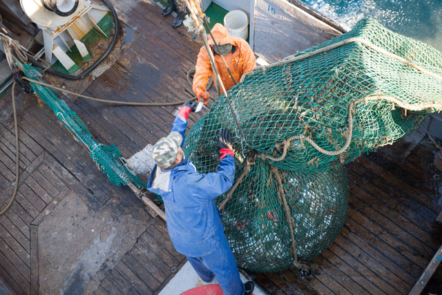 Ce filet de pêche intelligent est la solution pour une pêche plus responsable. On vous explique pourquoi ça va tout changer !