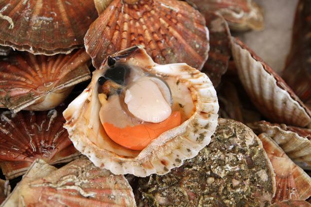 Un Meilleur Ouvrier de France nous partage ses conseils pour payer les coquilles Saint-Jacques beaucoup moins chères !