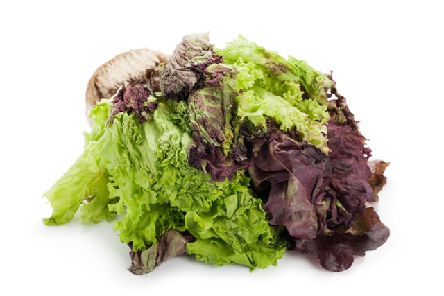 Comment recycler sa salade défraîchie ?