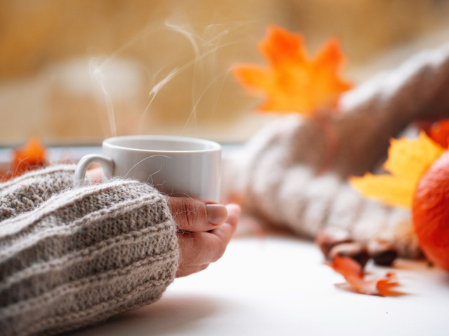 Boissons chaudes de l'automne : entre réconfort et gourmandise, voici nos meilleures recettes !
