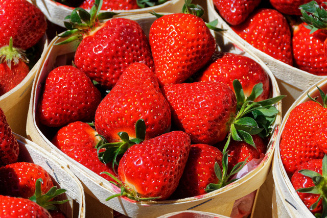 Vos fraises moisissent rapidement ? Voici comment retarder le phénomène avec ces astuces