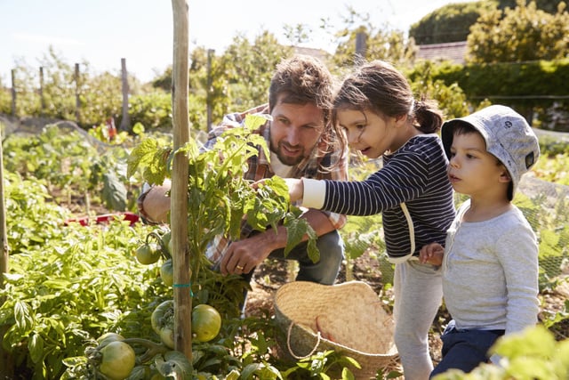 3 documentaires sur l’alimentation durable, à voir absolument