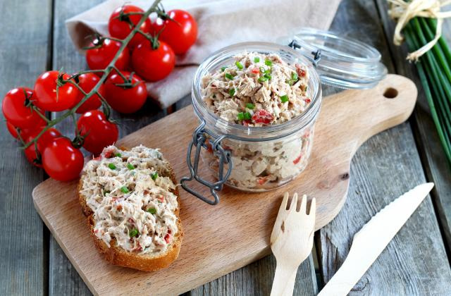 Rillettes de thon au fromage frais. Nadia Paprikas