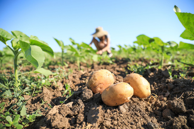 La guerre en Ukraine provoque des problèmes d'approvisionnement.