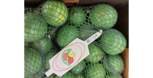 Rappel produit : attention, ces citrons verts sont contaminés par des pesticides !