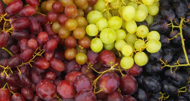 Quelles sont les variétés de raisins à privilégier si vous n’aimez pas les pépins ?