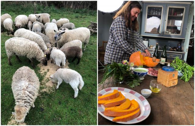 Les “Coups de pousse” de 750g pour la ferme pédagogique et la filature de laine du Petit Auney (Bocage du Mont Saint Michel)