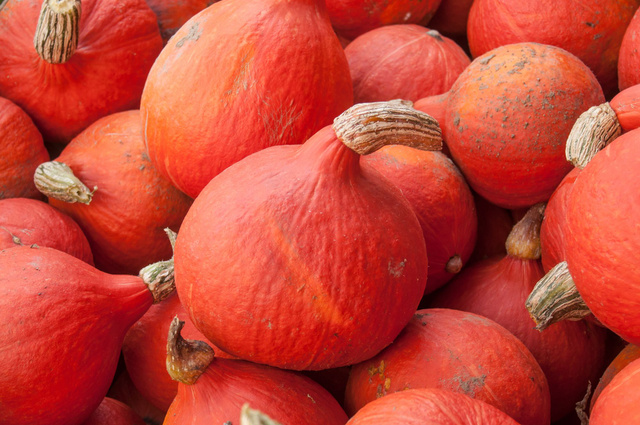 Que manger en octobre ? Nos astuces et recettes de saison