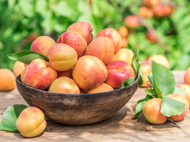 Comment bien choisir et conserver ses abricots