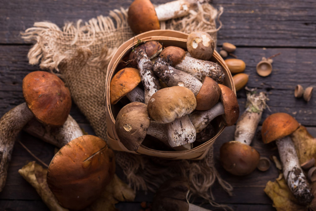 3 idées chipées aux chefs pour cuisiner les cèpes