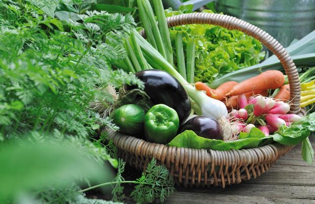 Vous épluchez toujours ce légume ? C’est une erreur d’après une diététicienne, vous passez à côté de nombreux bienfaits !