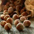 Noisette