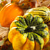 Courge