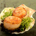 Coquille Saint-Jacques
