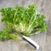 Salade frisée