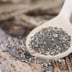 Graine de chia